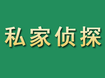 桃江市私家正规侦探