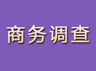 桃江商务调查